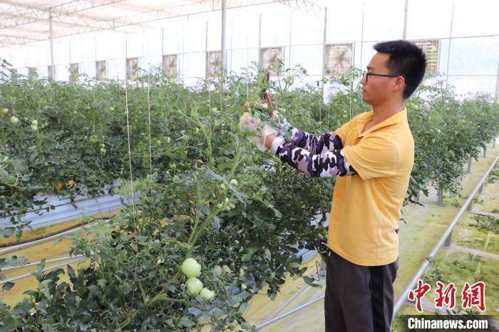 （高质量发展调研行）探访江西南昌元宇宙·VR数字农业示范基地 科技赋能数字农业