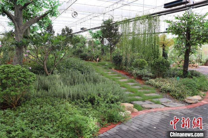 （高质量发展调研行）探访江西南昌元宇宙·VR数字农业示范基地 科技赋能数字农业