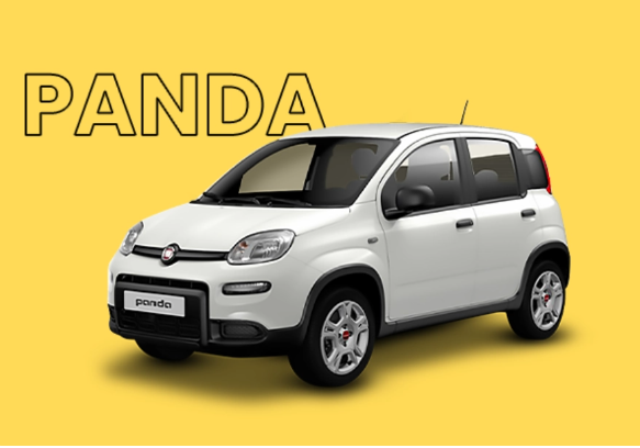 Stellantis计划推出廉价电动汽车，与比亚迪和雷诺展开竞争