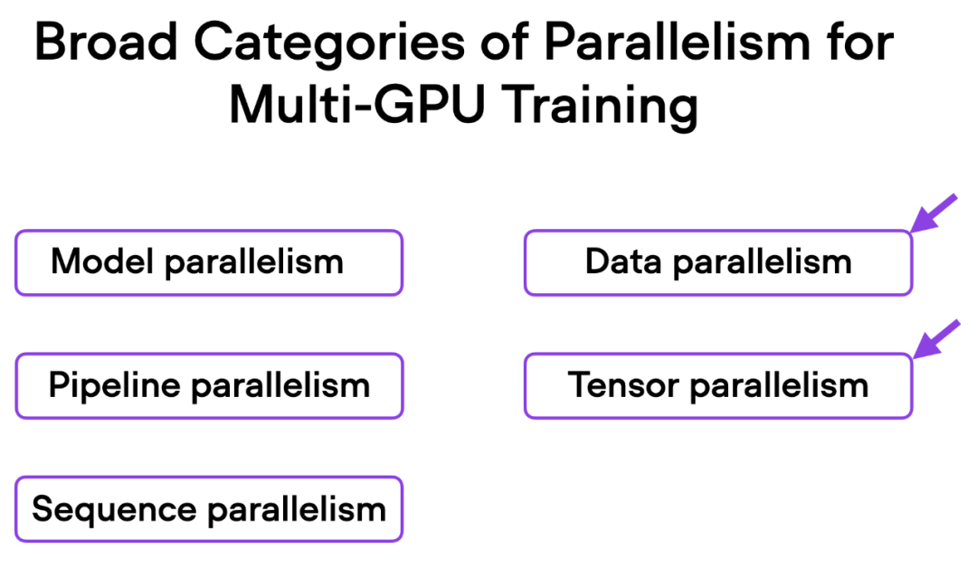 改动一行代码，PyTorch训练三倍提速，这些「高级技术」是关键
