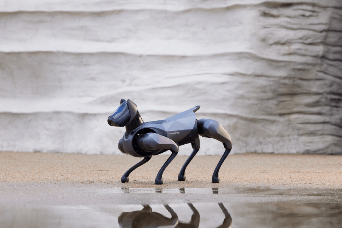 令人难以置信的小米仿生机器狗二代：深度剖析其超乎寻常的机械智能