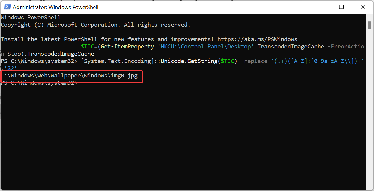 主题背景位于 Windows 11 中的什么位置?