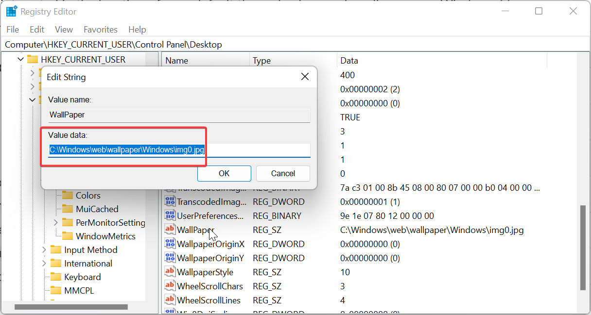 主题背景位于 Windows 11 中的什么位置?