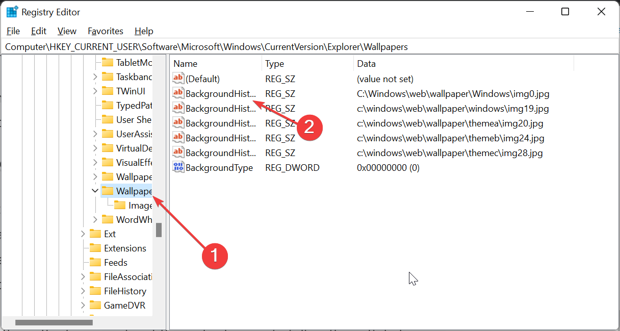 主题背景位于 Windows 11 中的什么位置?