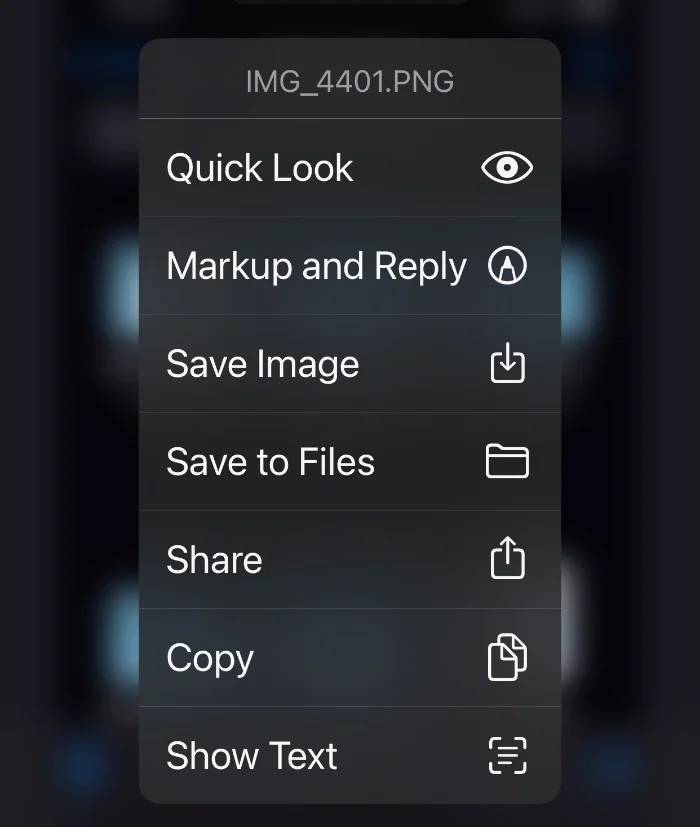 在iPhone和iPad上下载文件的方法