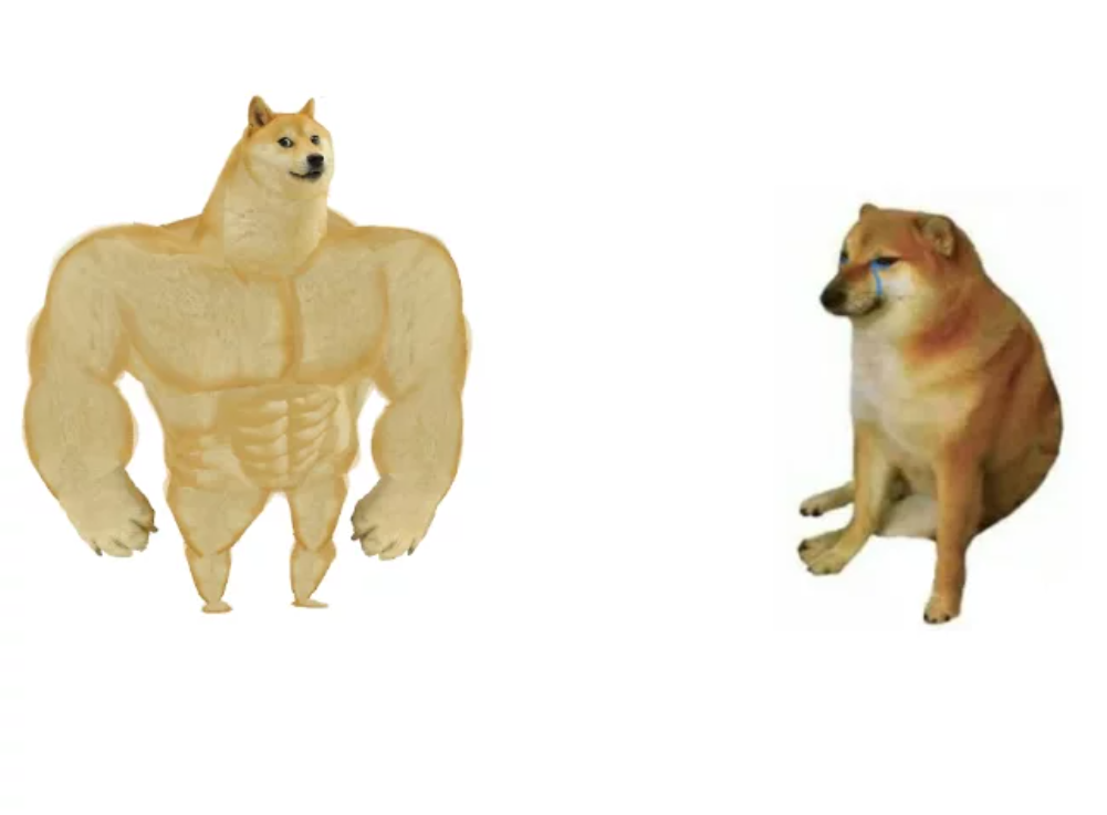 知名“废柴”表情包柴犬 Balltze 离世，主人：请记得它为这个世界带来的欢乐