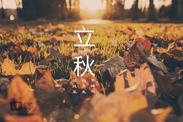 今日立秋:风吹一片叶,万物已惊秋