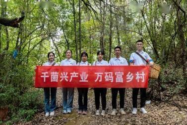 人工智能助力菌农发展，区块溯源助推乡村振兴