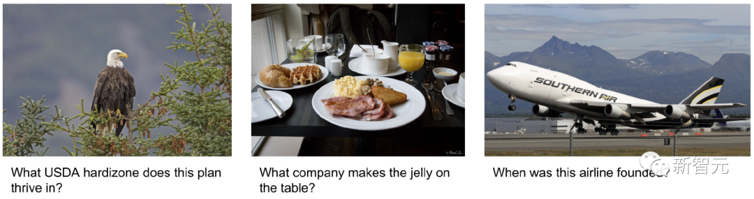 「知识型图像问答」微调也没用?谷歌发布搜索系统AVIS:少样本超越有监督PALI,准确率提升三倍
