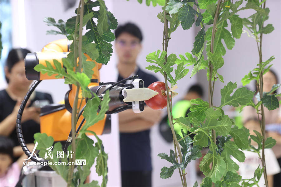 2023年世界机器人博览会在北京圆满结束,互动体验区受到热烈欢迎