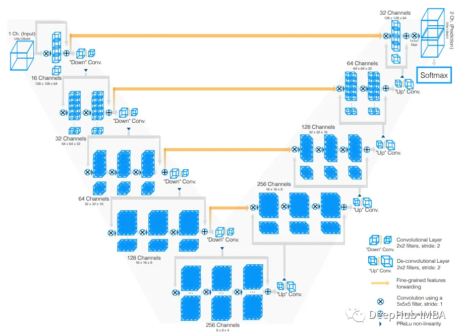 深度学习模型综述:用于3D MRI和CT扫描的应用