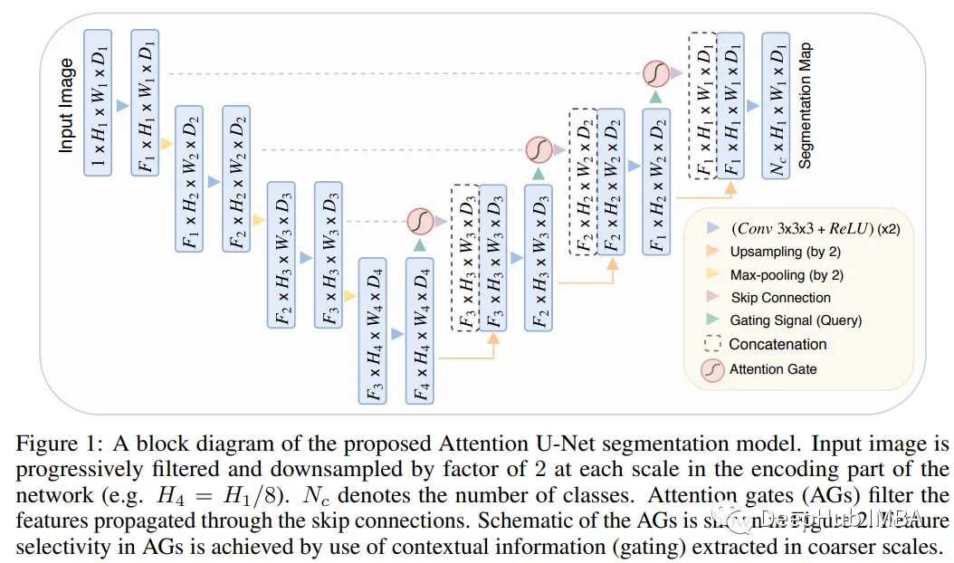 深度学习模型综述:用于3D MRI和CT扫描的应用