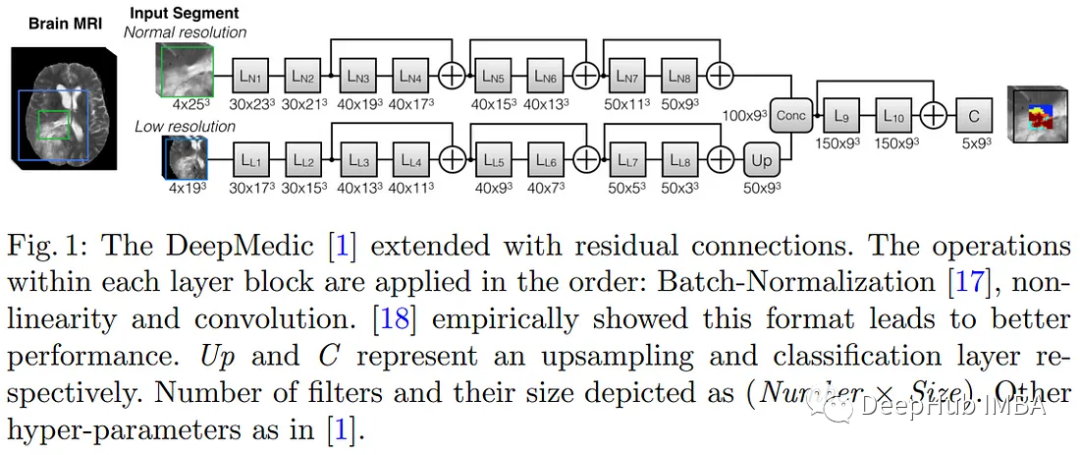 深度学习模型综述:用于3D MRI和CT扫描的应用