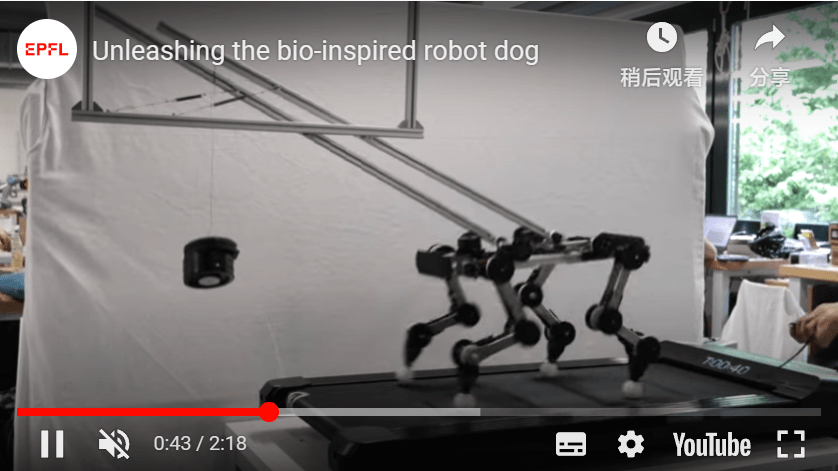 新型“仿生机器狗结构”问世,无需电能即可自动跟随跑步机运动