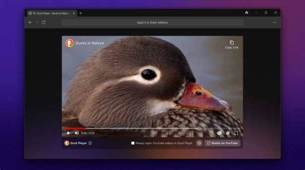 强调隐私安全!Windows版DuckDuckGo浏览器发布公测版本
