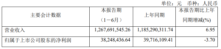 掌阅科技上半年业绩喜人：营收增长6.95%，归母净利润达3824.84万元
