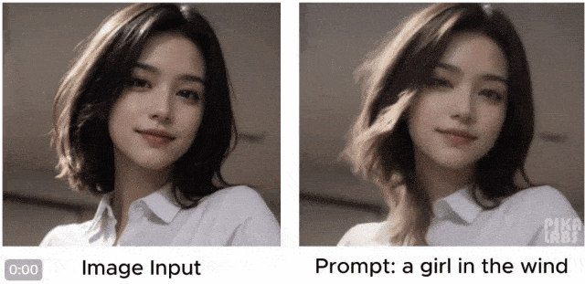 AI完全生成的视频，一句话即可制作超可爱的猫咪片