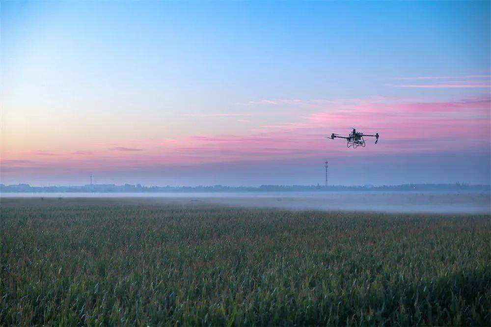 大疆发布《农业无人机行业白皮书》,探索全球化视角下的行业现状与未来趋势