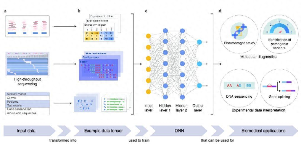 利用深度学习和神经网络实现复杂任务的人工智能模型