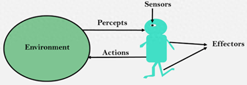 大模型心高气傲，没有AI Agents生死难料