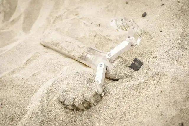 未来可能利用加州大学研发的海龟启发机器人进行太空探索