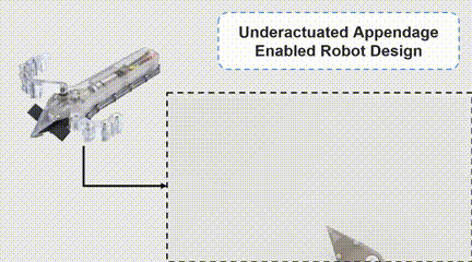 未来可能利用加州大学研发的海龟启发机器人进行太空探索