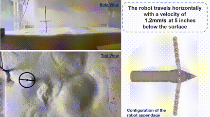 未来可能利用加州大学研发的海龟启发机器人进行太空探索