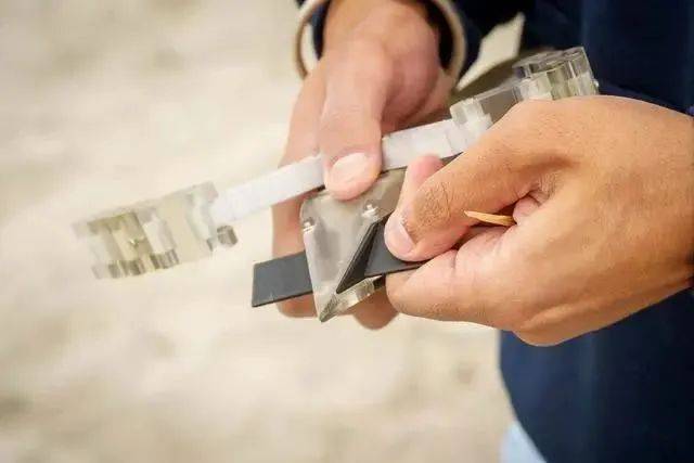 未来可能利用加州大学研发的海龟启发机器人进行太空探索