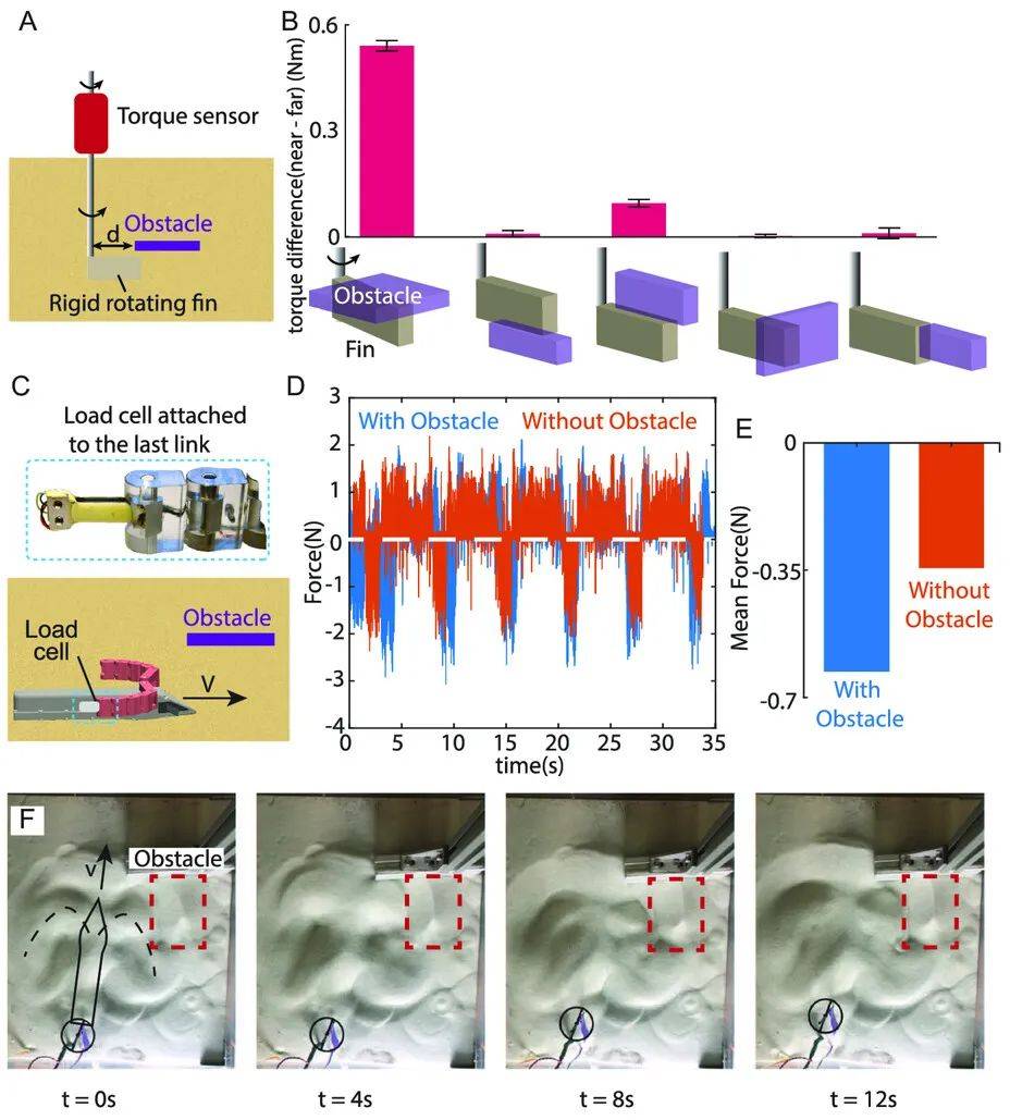 未来可能利用加州大学研发的海龟启发机器人进行太空探索
