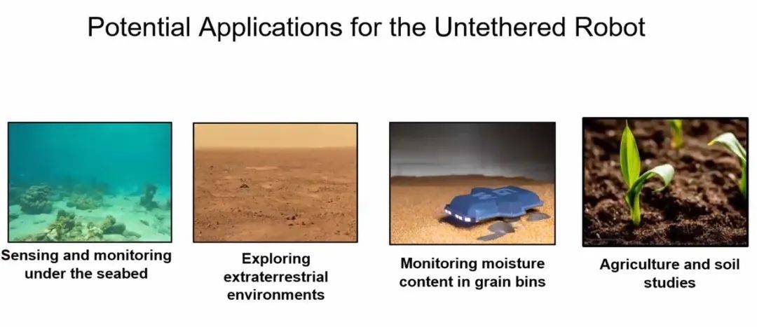 未来可能利用加州大学研发的海龟启发机器人进行太空探索