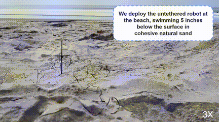 未来可能利用加州大学研发的海龟启发机器人进行太空探索