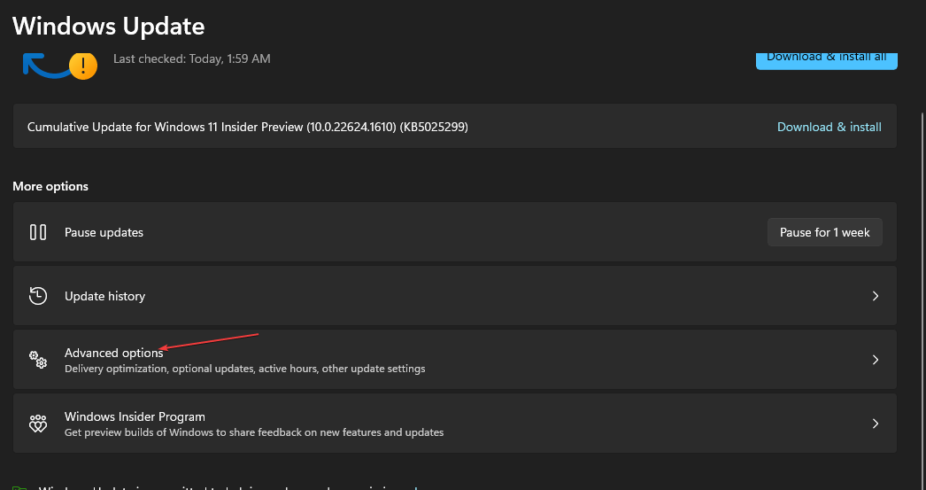 如何控制或停止 Windows 11 上系统使用过多的数据?
