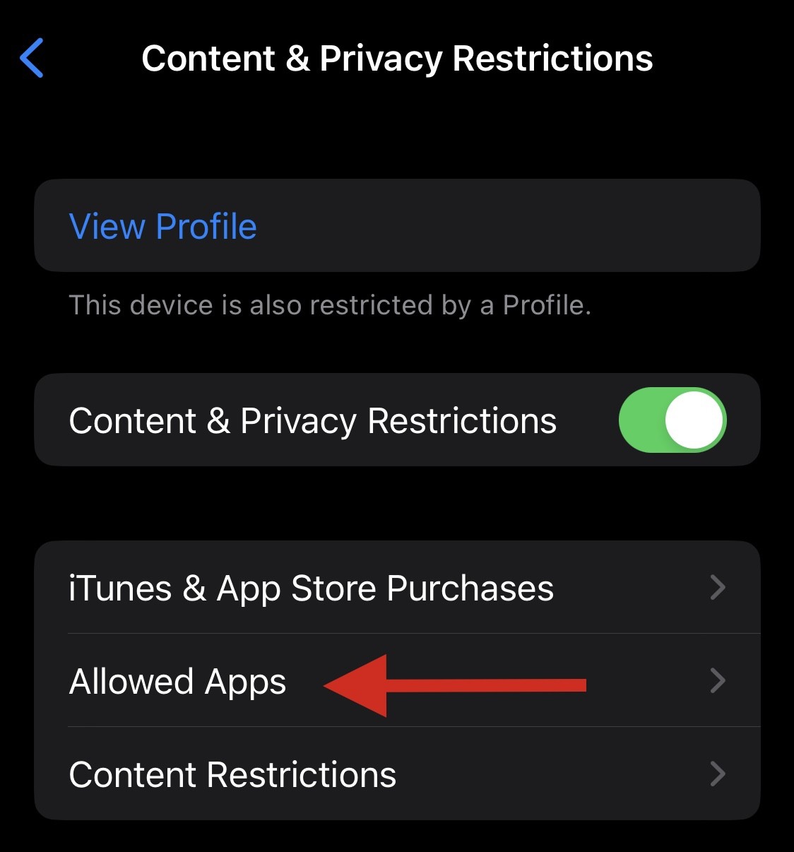 重新安装 Safari 的 8 种方法,适用于 iPhone