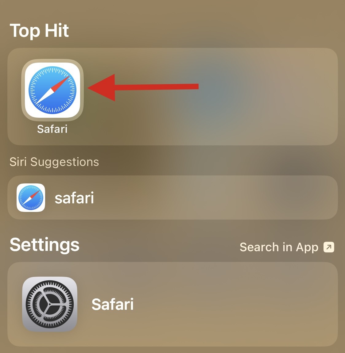 重新安装 Safari 的 8 种方法,适用于 iPhone