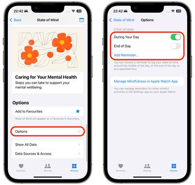 如何使用苹果健康来追踪您的情绪 - iOS 17