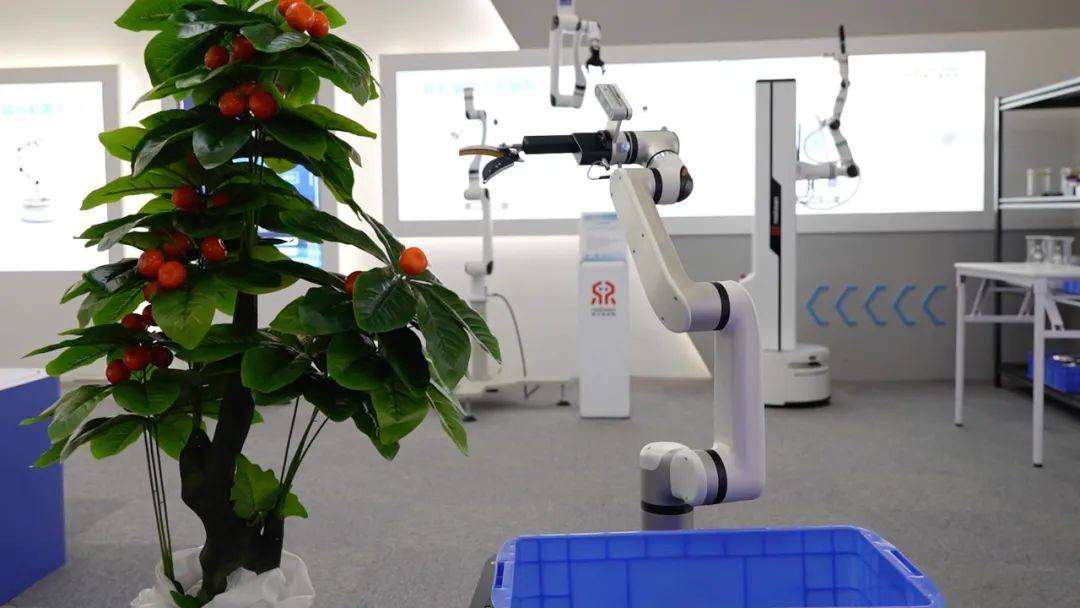 6自由度机器人的下一个进化阶段