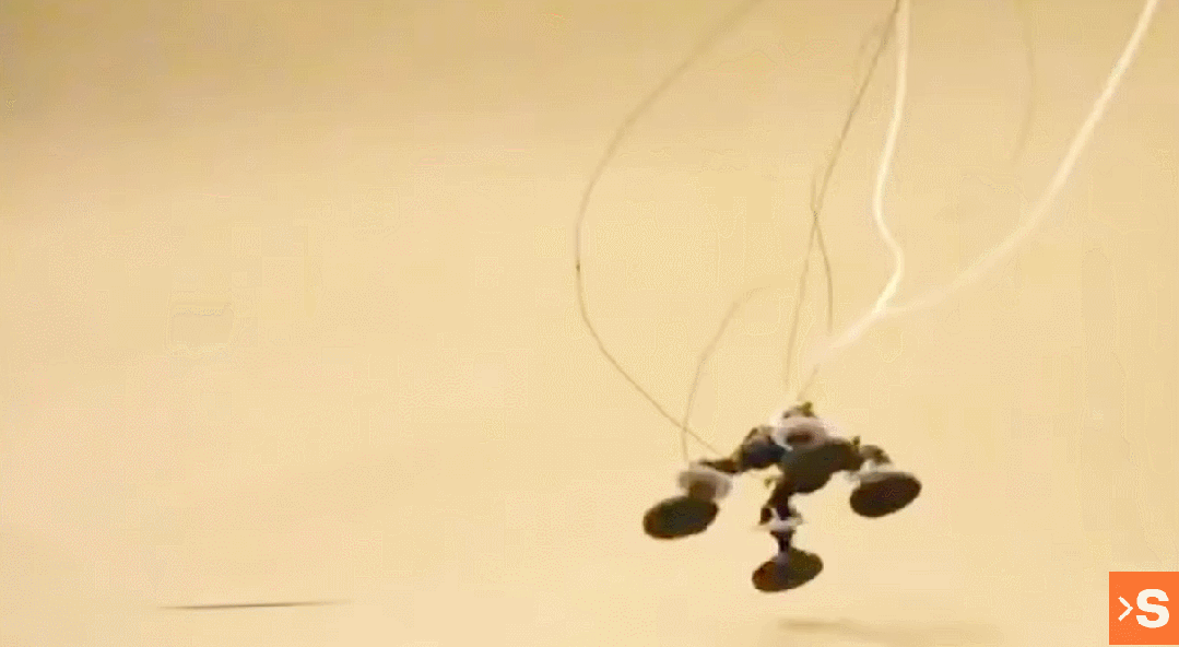 承载22倍于自身重量前行,垂直跳跃59厘米,用爆炸驱动的昆虫机器人来了