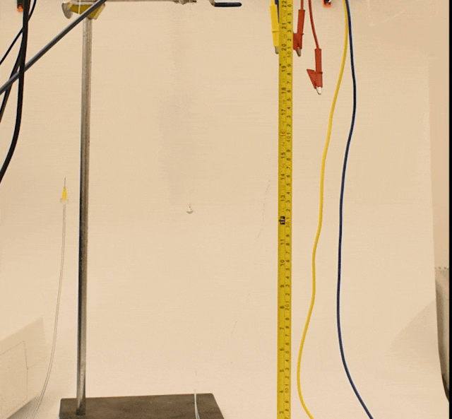 承载22倍于自身重量前行,垂直跳跃59厘米,用爆炸驱动的昆虫机器人来了