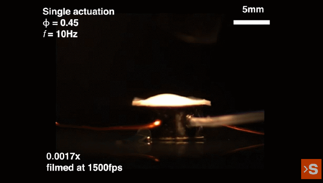 承载22倍于自身重量前行,垂直跳跃59厘米,用爆炸驱动的昆虫机器人来了