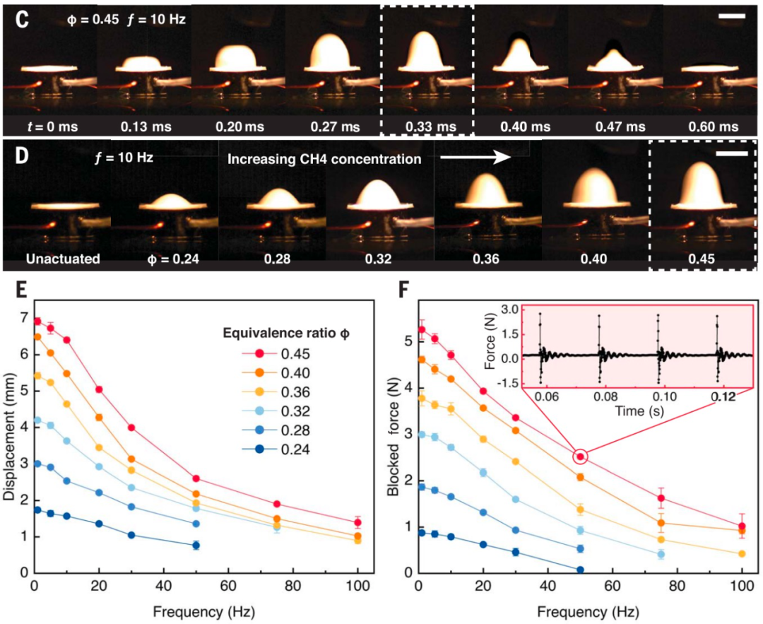 承载22倍于自身重量前行,垂直跳跃59厘米,用爆炸驱动的昆虫机器人来了