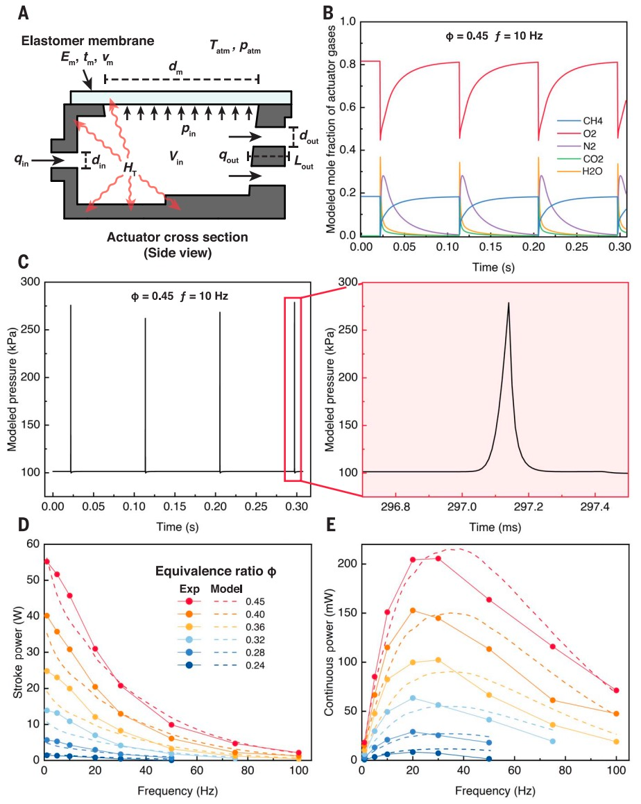 承载22倍于自身重量前行,垂直跳跃59厘米,用爆炸驱动的昆虫机器人来了