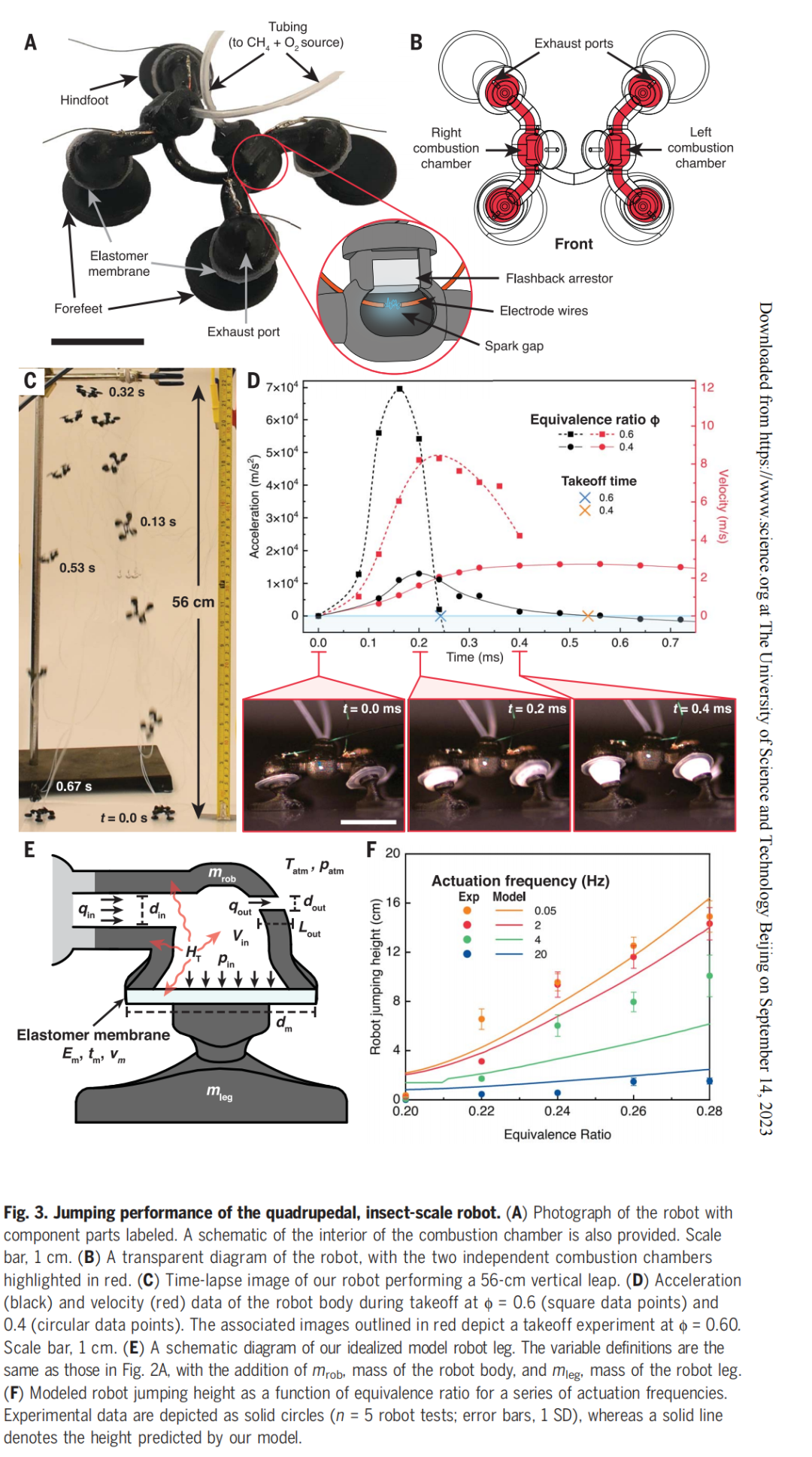 承载22倍于自身重量前行,垂直跳跃59厘米,用爆炸驱动的昆虫机器人来了