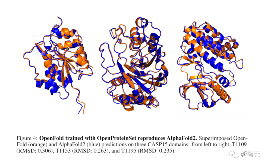 解决AlphaFold 2训练数据私有难题:哈佛、哥大开源1600万组蛋白质序列!