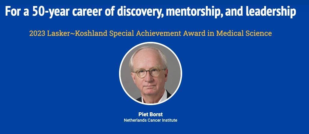 诺奖剑指AI？谷歌蛋白质结构预测模型获2023年拉斯克奖