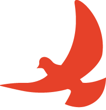 匠心传承,智创未来—配天机器人全星闪耀,尽享工博盛会