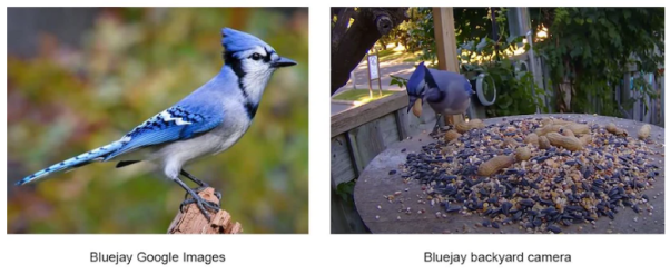 准备图像AI项目数据集的七个步骤