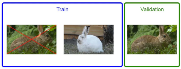 准备图像AI项目数据集的七个步骤