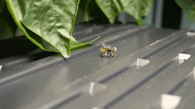 不装电池也能“自动驾驶”，这个机器人还能无限续航