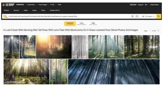 生成式人工智能如何重新定义图像搜索