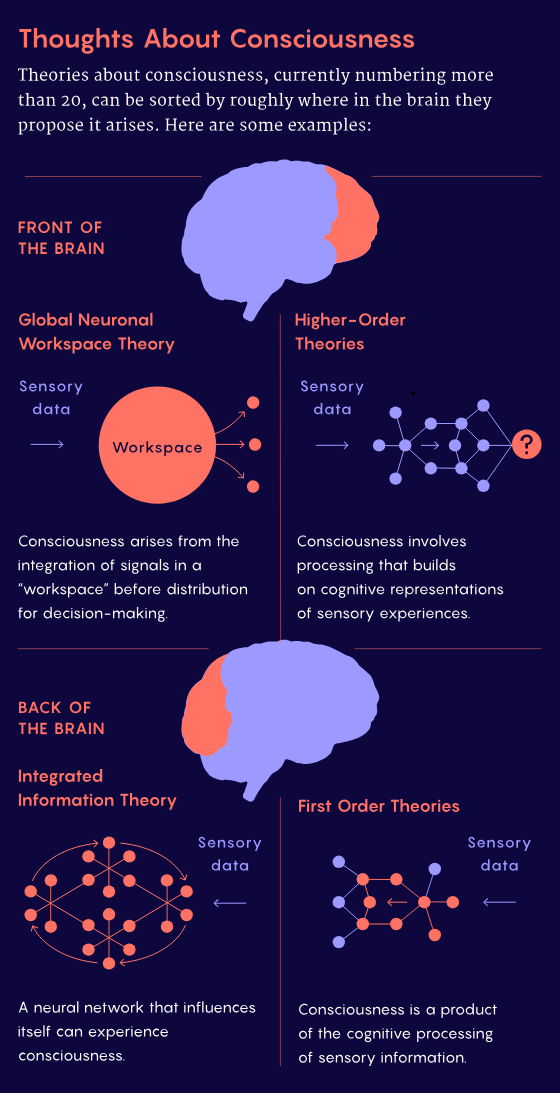 20多种意识理论的争论仍未有定论：五年过去了，没有一个理论能够占据主导地位